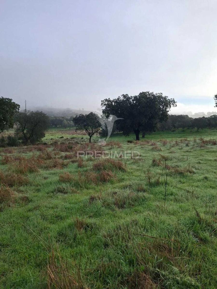 Terreno para Venda em Nossa Senhora da Conceição, São Brás dos Matos, Juromenha Foto 12
