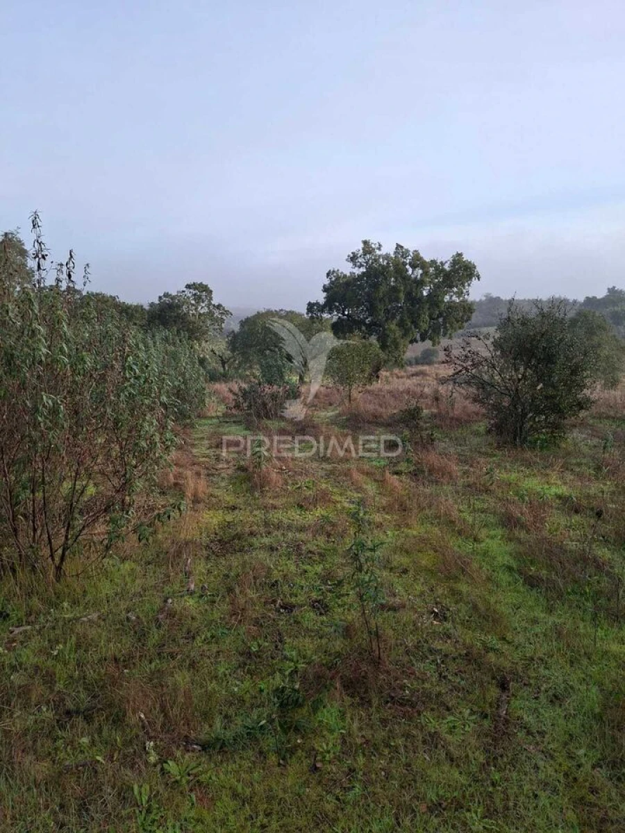 Terreno para Venda em Nossa Senhora da Conceição, São Brás dos Matos, Juromenha Foto 6