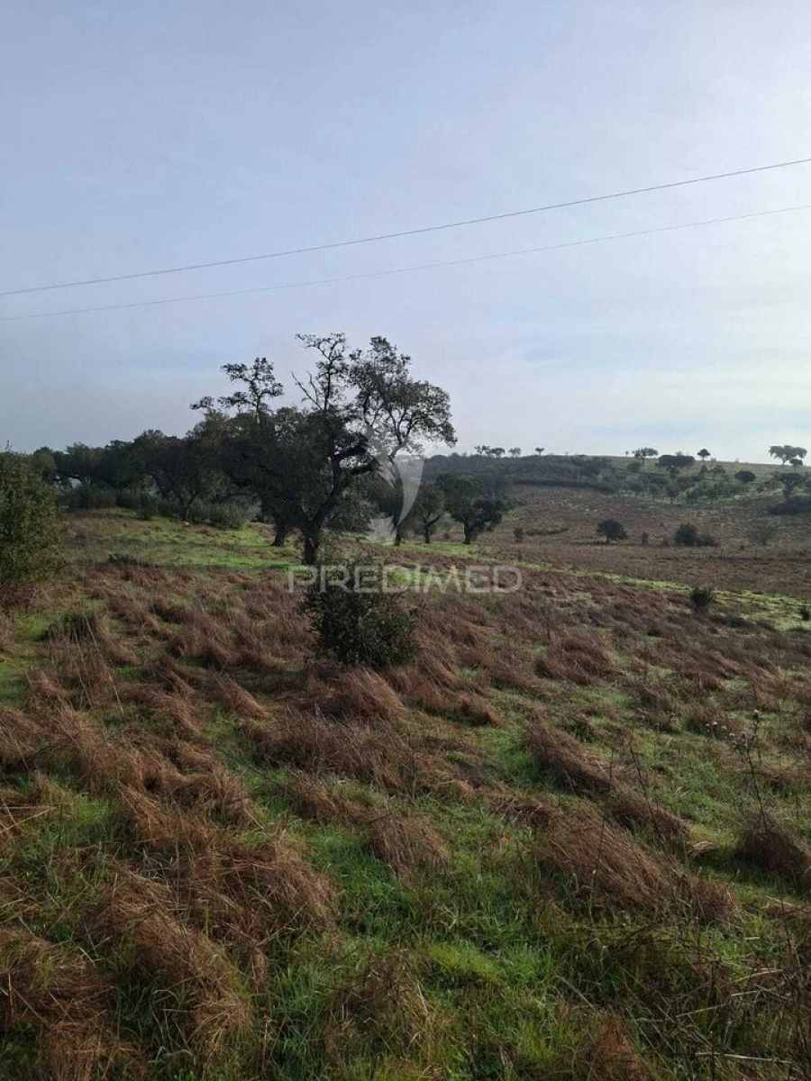 Terreno para Venda em Nossa Senhora da Conceição, São Brás dos Matos, Juromenha Foto 8