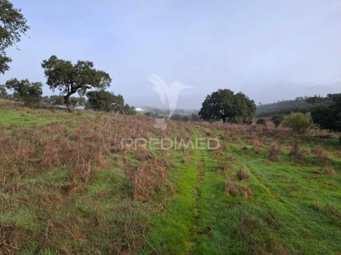 Terreno para Venda em Nossa Senhora da Conceição, São Brás dos Matos, Juromenha Foto 13