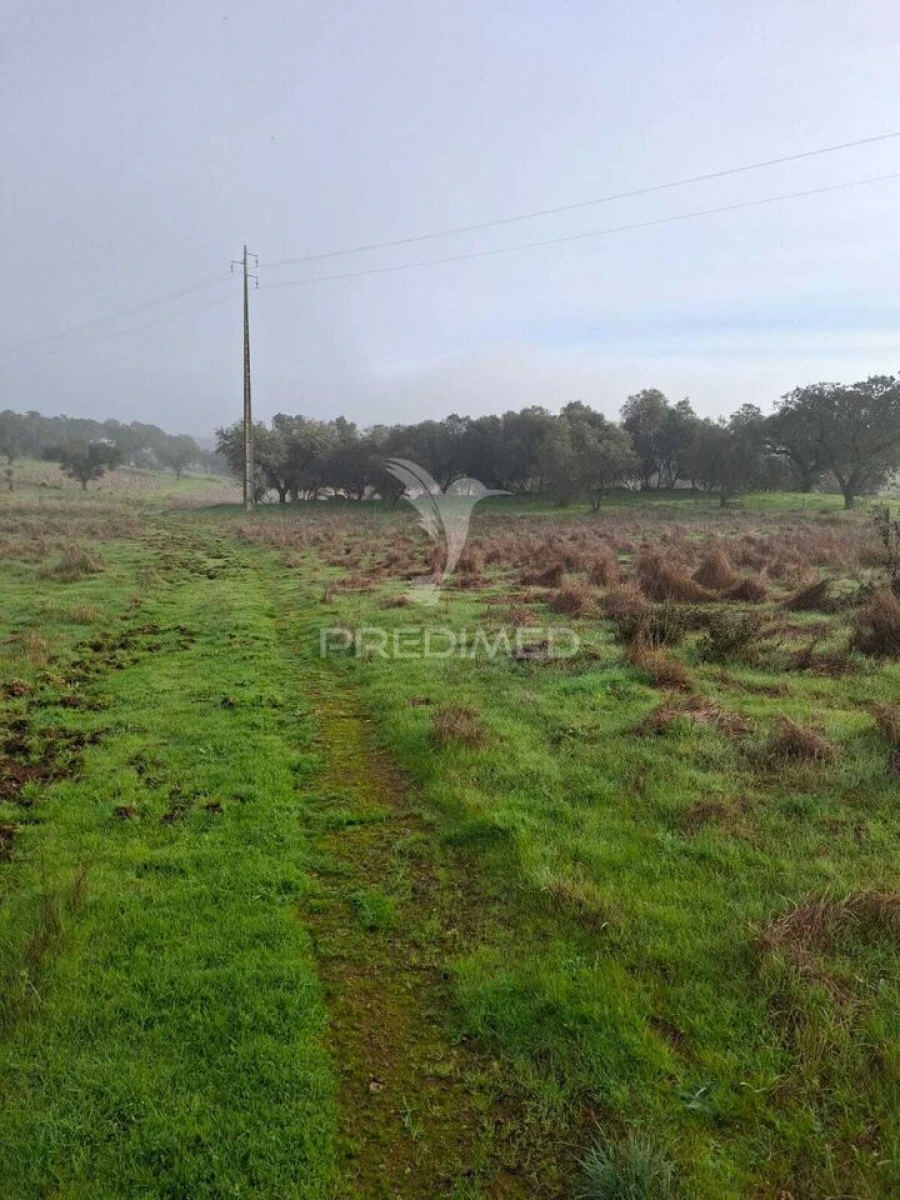 Terreno para Venda em Nossa Senhora da Conceição, São Brás dos Matos, Juromenha Foto 22