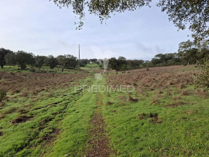 Terreno para Venda em Nossa Senhora da Conceição, São Brás dos Matos, Juromenha Foto 17