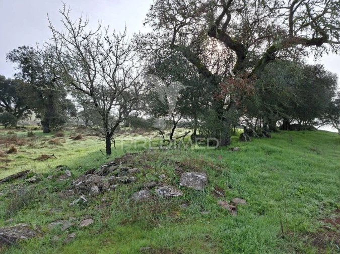 Terreno para Venda em Nossa Senhora da Conceição, São Brás dos Matos, Juromenha Foto 28