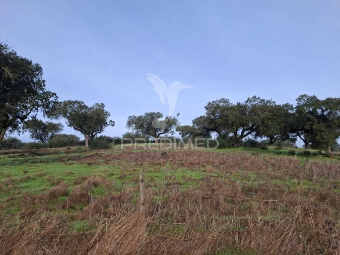 Terreno para Venda em Nossa Senhora da Conceição, São Brás dos Matos, Juromenha Foto 10