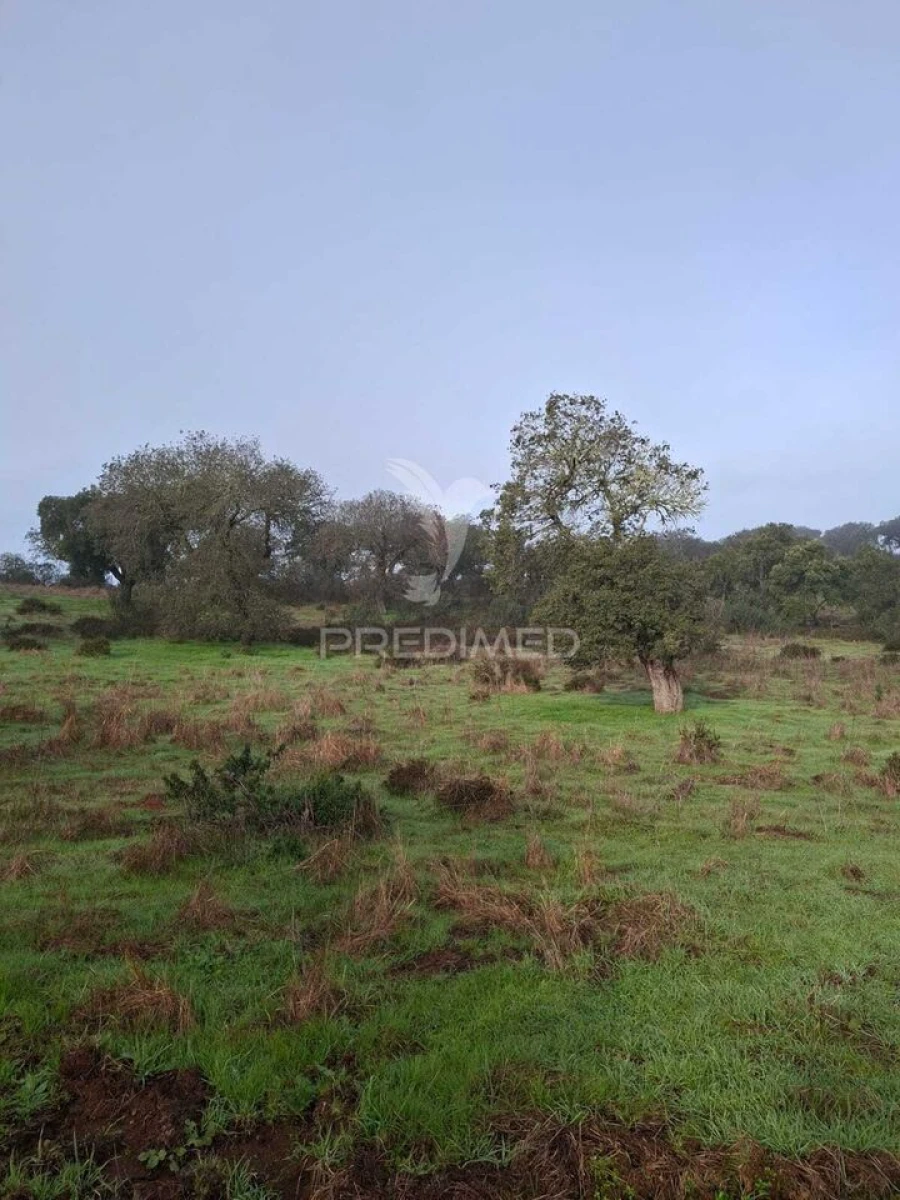 Terreno para Venda em Nossa Senhora da Conceição, São Brás dos Matos, Juromenha Foto 3