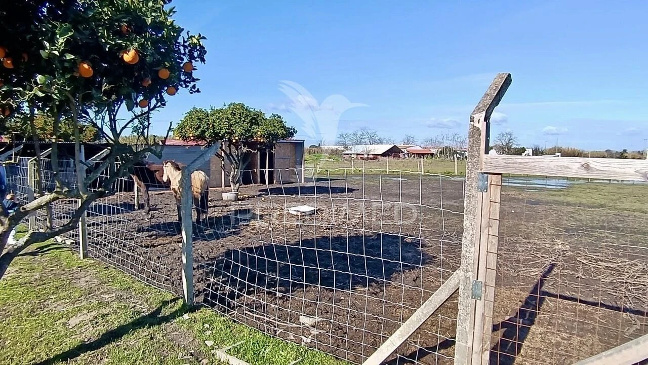 Moradia T3 para Venda em Alhos Vedros Foto 26
