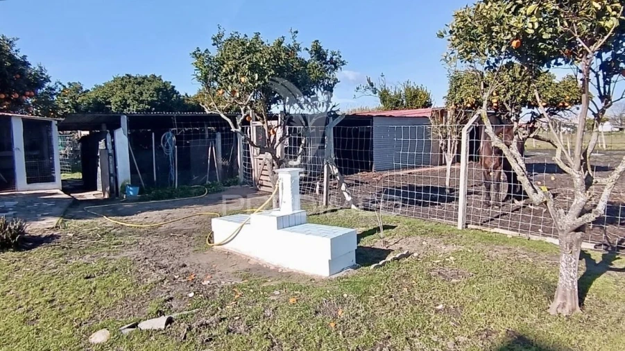 Moradia T3 para Venda em Alhos Vedros Foto 30