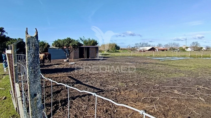 Moradia T3 para Venda em Alhos Vedros Foto 28