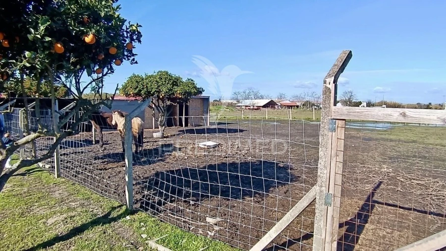 Moradia T3 para Venda em Alhos Vedros Foto 26