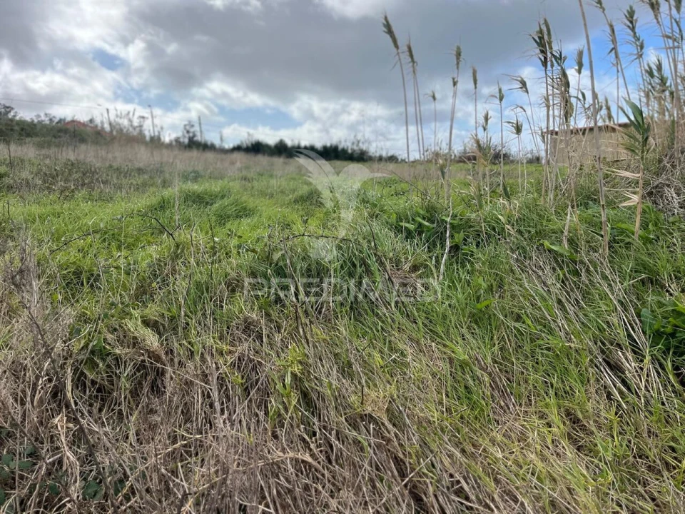 Terreno para Venda em Ponta do Pargo Foto 8