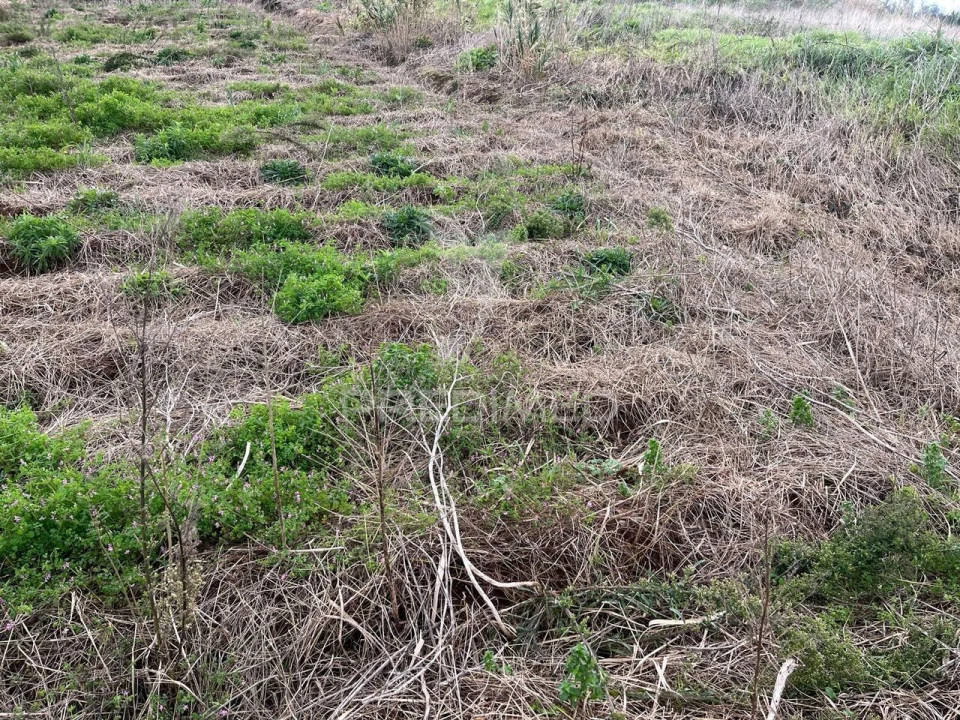 Terreno para Venda em Ponta do Pargo Foto 7
