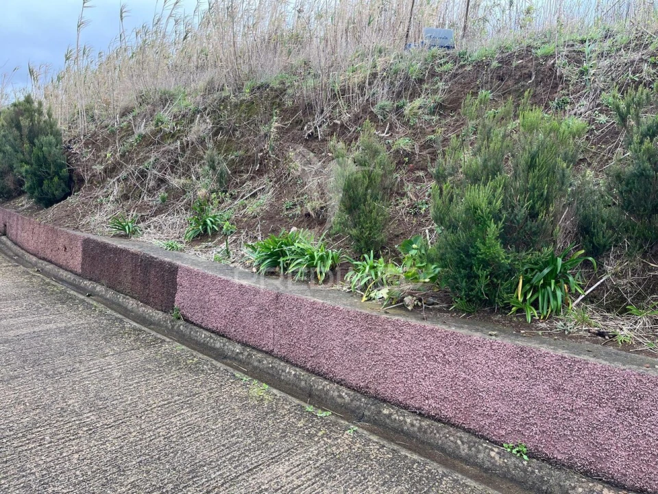 Terreno para Venda em Ponta do Pargo Foto 3