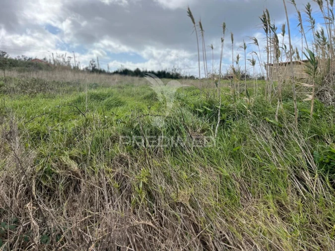 Terreno para Venda em Ponta do Pargo Foto 8