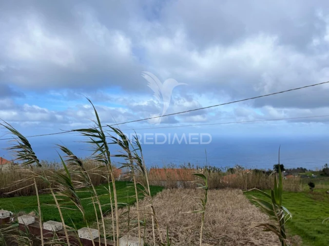 Terreno para Venda em Ponta do Pargo Foto 4