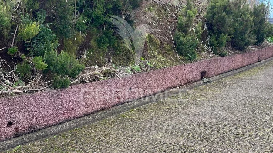 Terreno para Venda em Ponta do Pargo