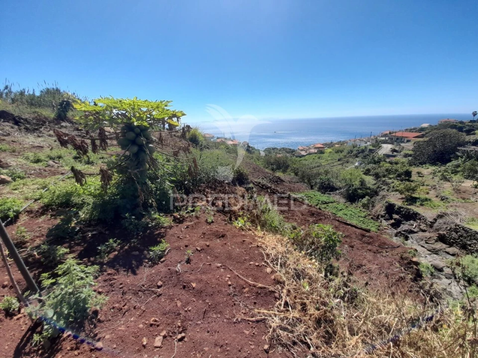 Terreno para Venda em Gaula Foto 1