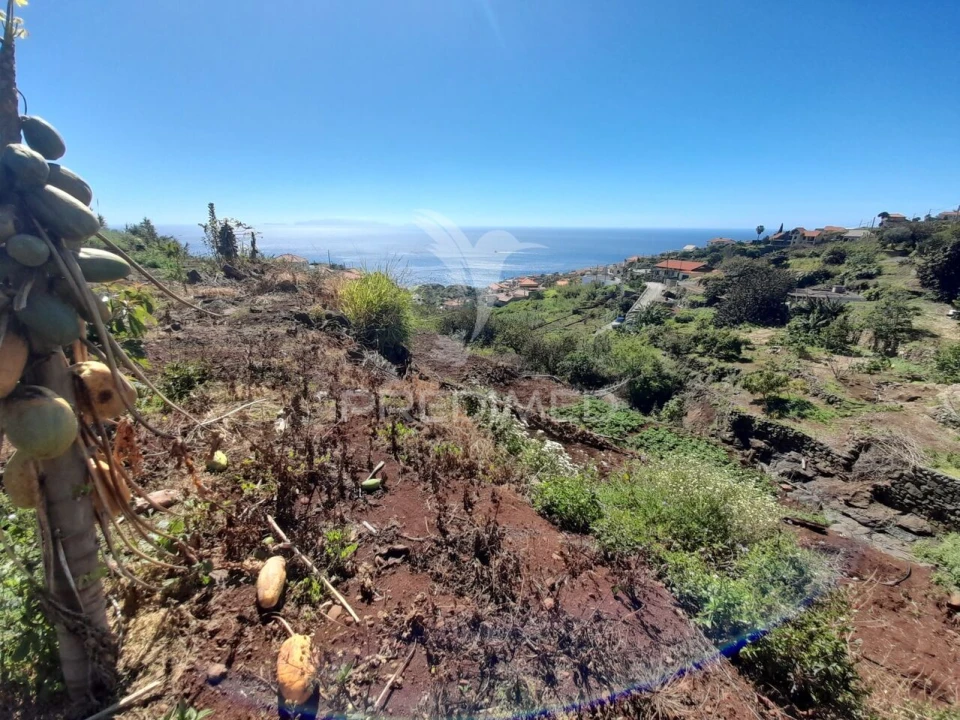 Terreno para Venda em Gaula Foto 3