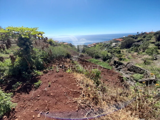 Terreno para Venda em Gaula Foto 2