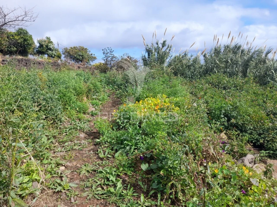 Terreno para Venda em Gaula Foto 3