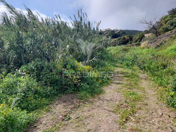 Terreno para Venda em Gaula Foto 5