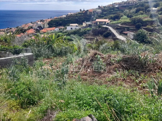 Terreno para Venda em Gaula Foto 2