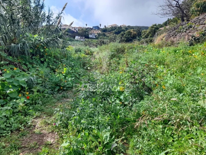 Terreno para Venda em Gaula Foto 4