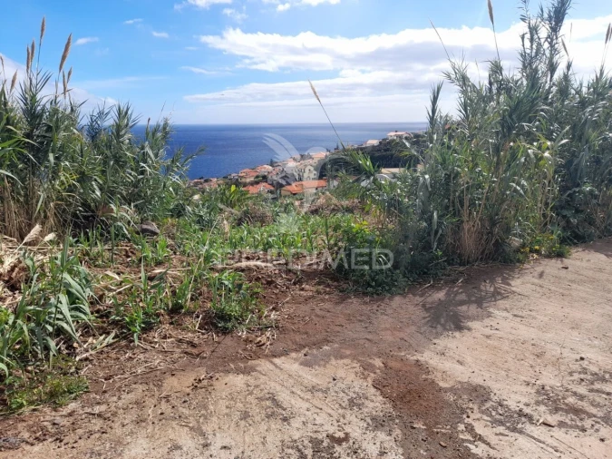 Terreno para Venda em Gaula Foto 1