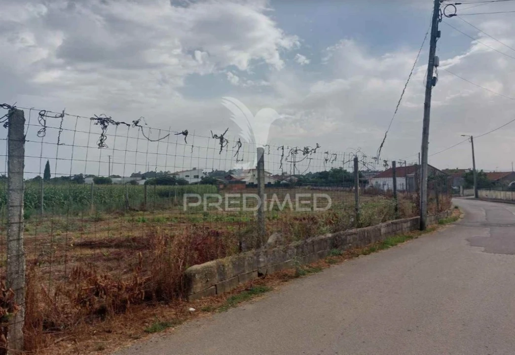 Terreno para Venda em Oiã Foto 1