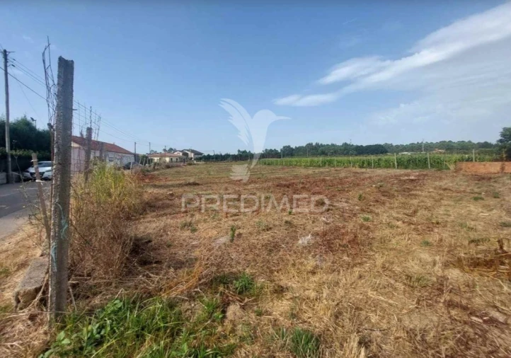 Terreno para Venda em Oiã Foto 2