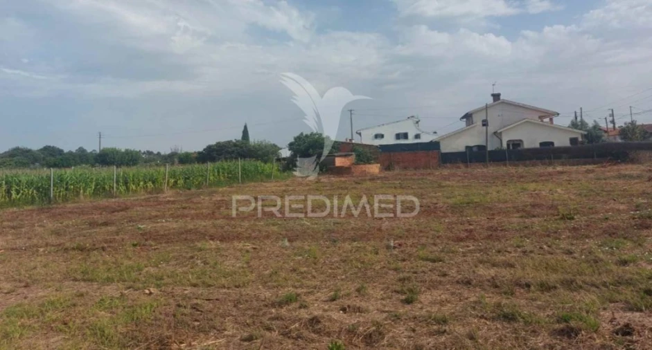 Terreno para Venda em Oiã Foto 3