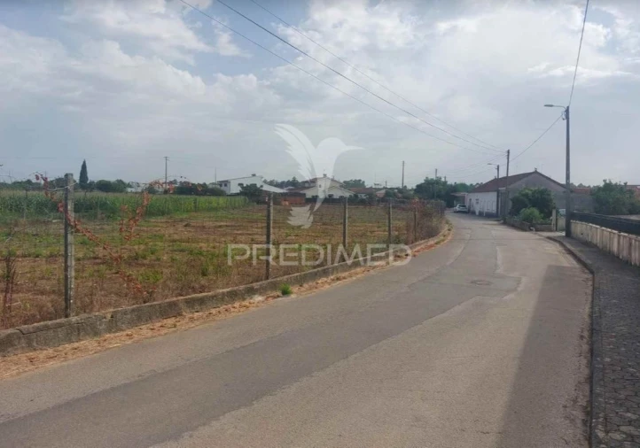 Terreno para Venda em Oiã Foto 5