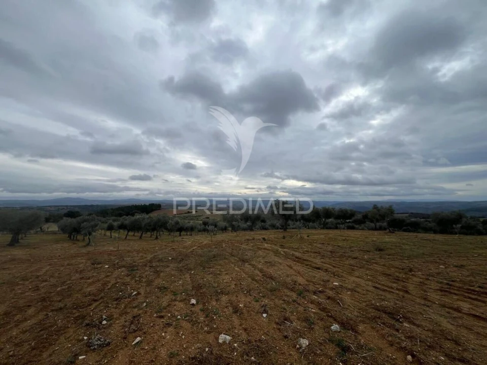 Terreno para Venda em Morais Foto 9