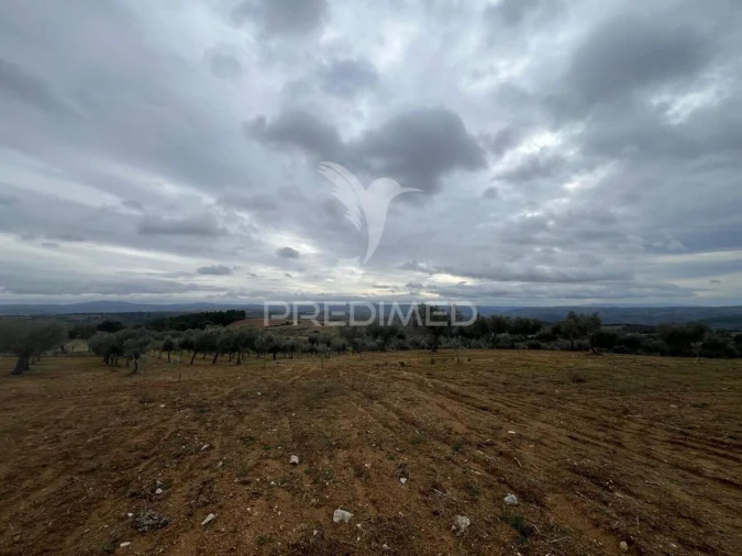 Terreno para Venda em Morais Foto 9