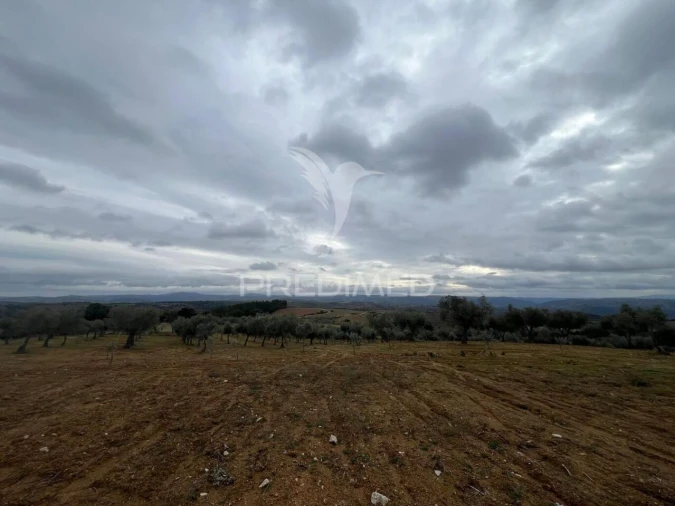 Terreno para Venda em Morais Foto 10
