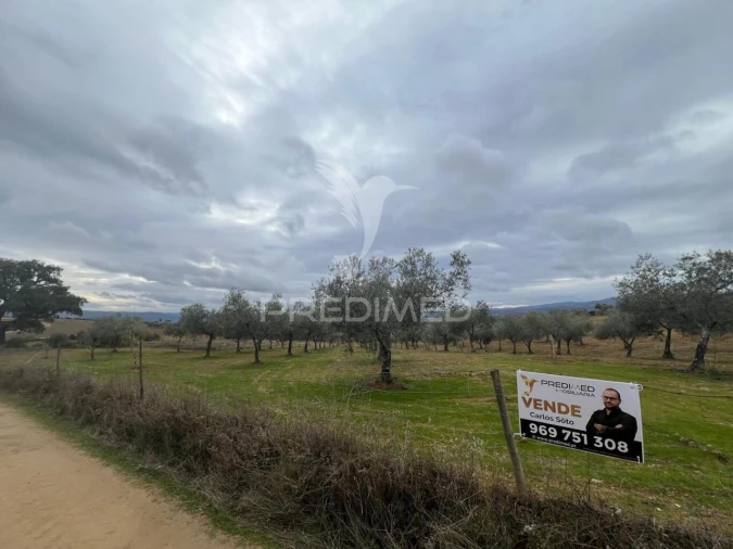 Terreno para Venda em Morais Foto 3