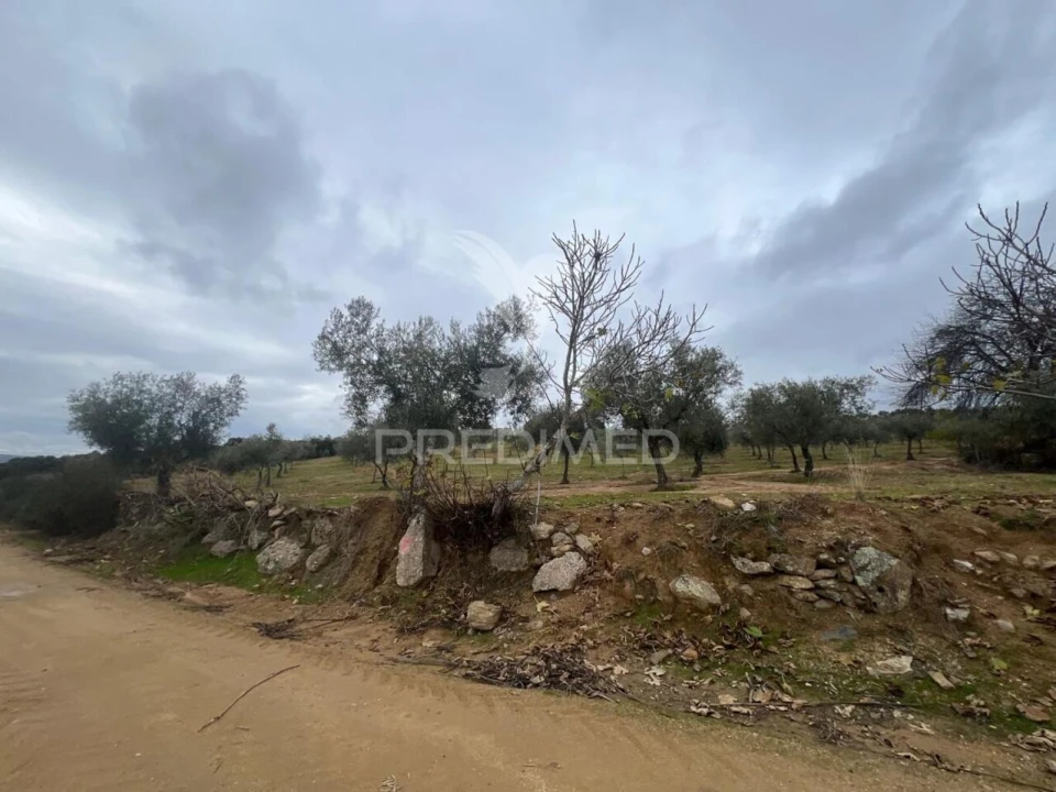 Terreno para Venda em Morais Foto 4