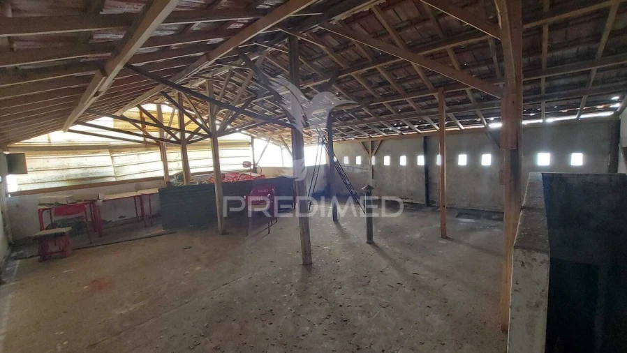 Loja para Venda em Alpiarça Foto 10