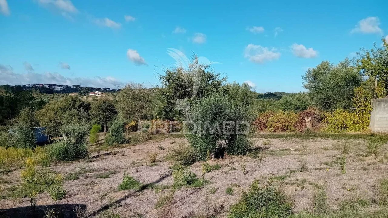 Terreno para Venda em Seiça Foto 10