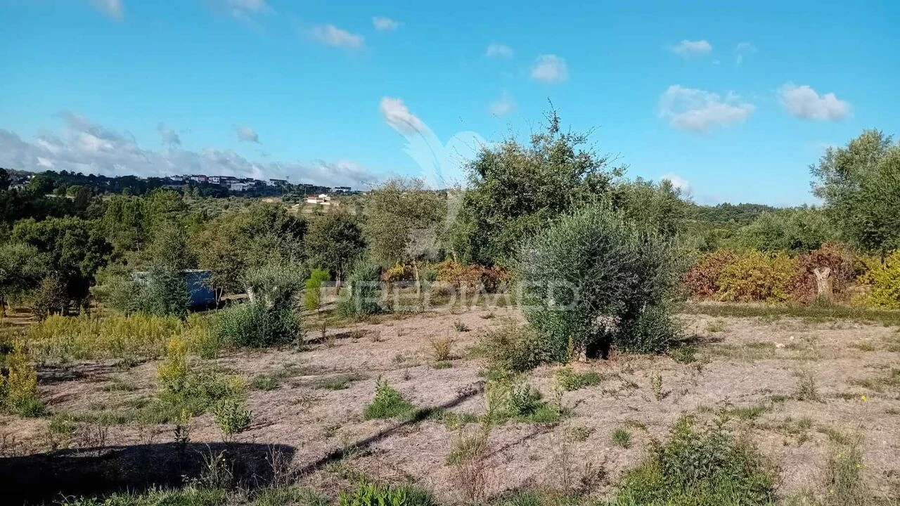 Terreno para Venda em Seiça Foto 14