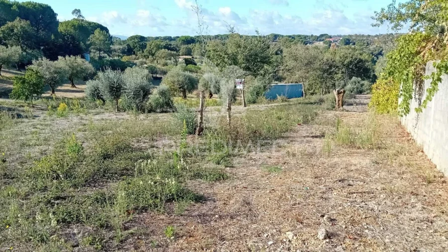 Terreno para Venda em Seiça Foto 2