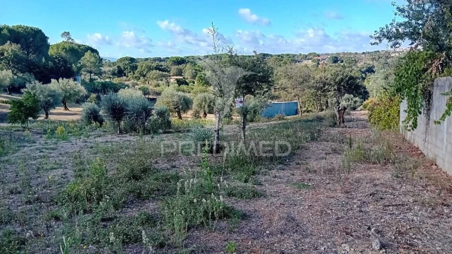 Terreno para Venda em Seiça Foto 21