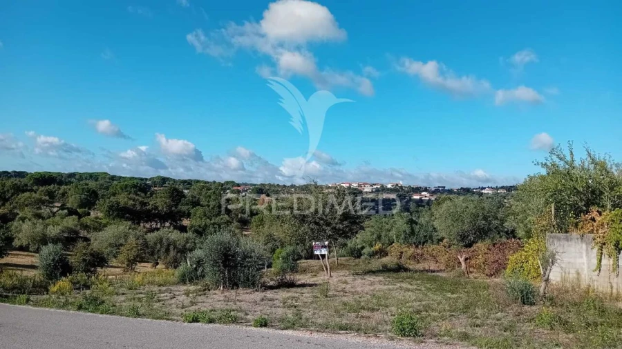 Terreno para Venda em Seiça Foto 17