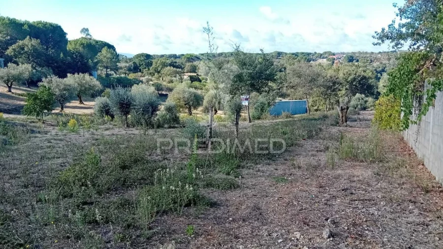 Terreno para Venda em Seiça