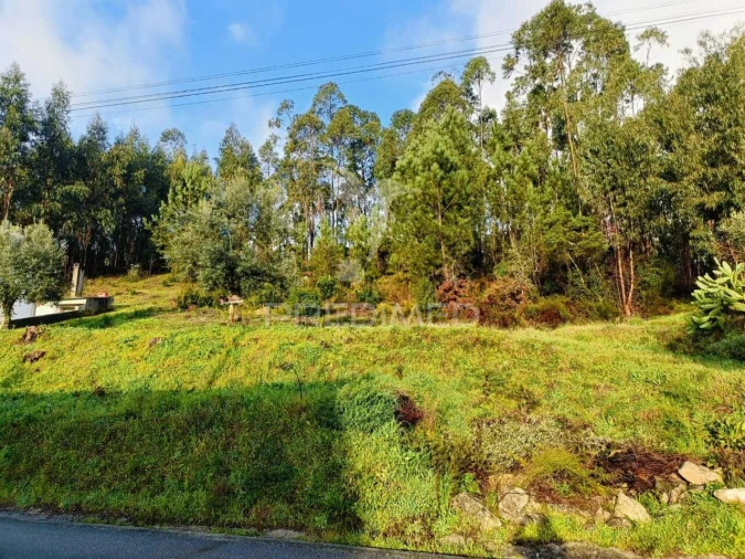 Terreno para Venda em Nossa Senhora das Misericordias Foto 7