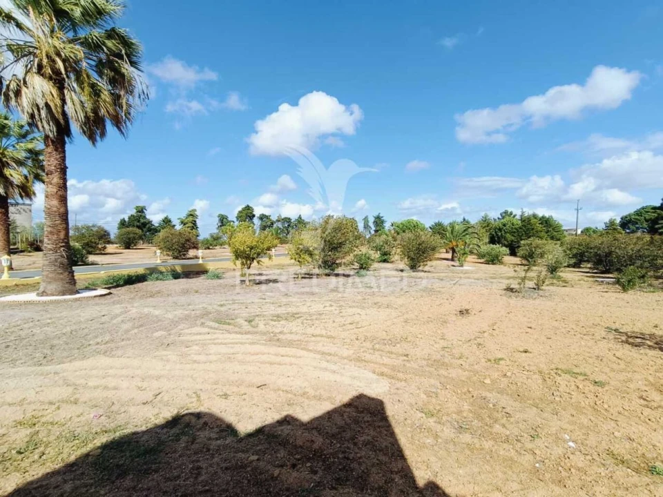 Quinta T5 para Venda em Aveiras de Cima Foto 39