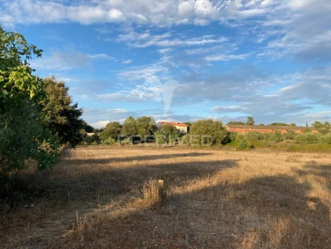 Terreno para Venda em Fatima Foto 8