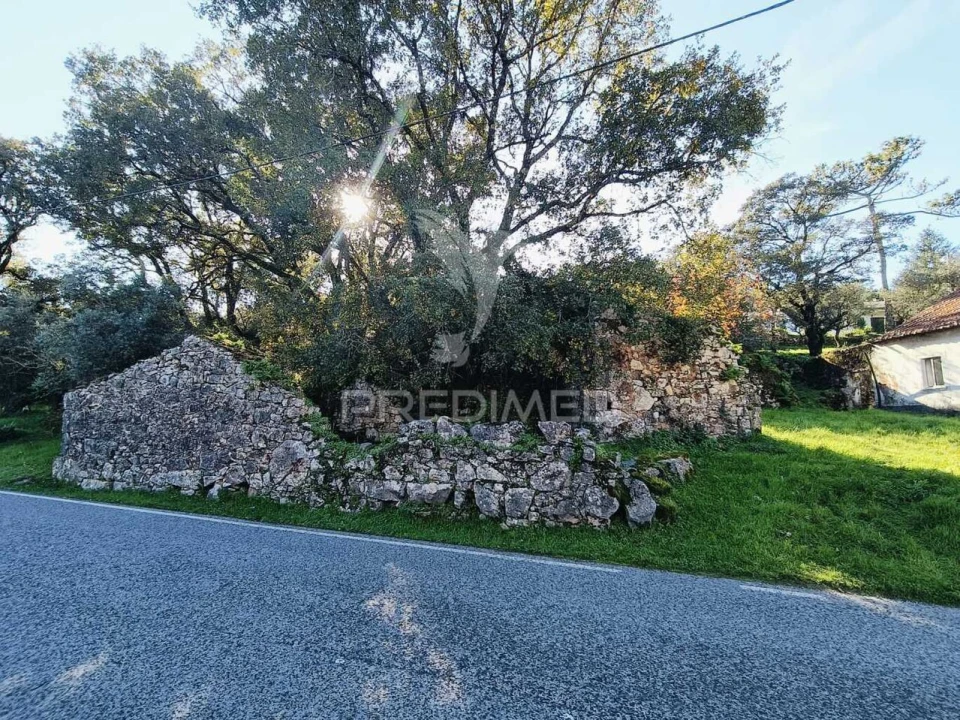 Moradia T2 para Venda em São Mamede Foto 18