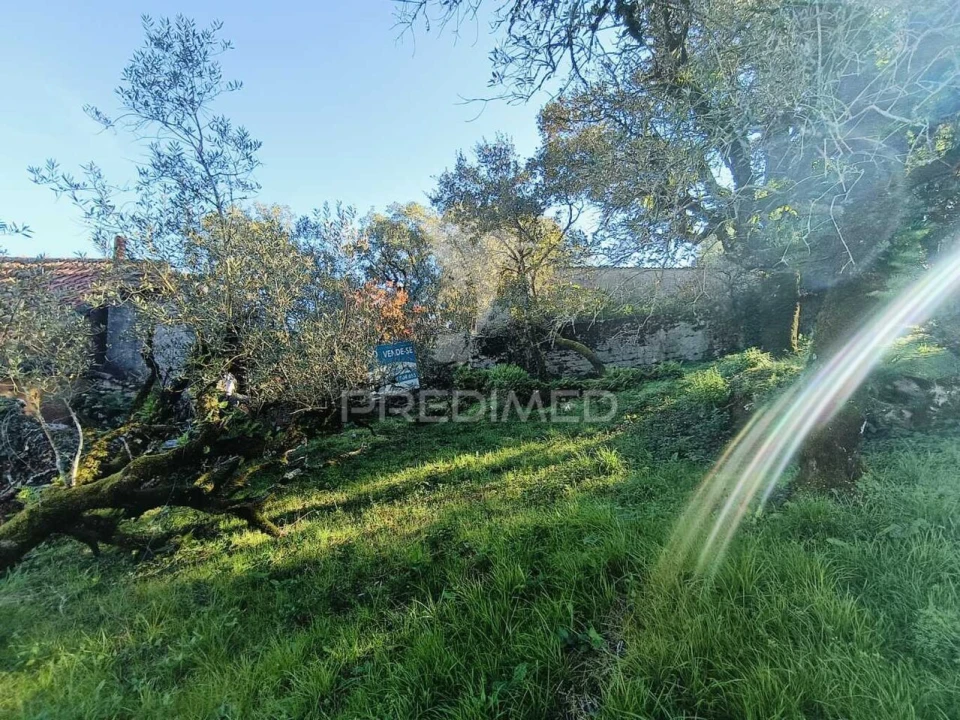 Moradia T2 para Venda em São Mamede Foto 7