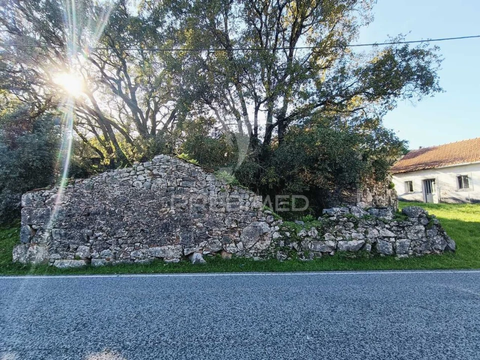 Moradia T2 para Venda em São Mamede Foto 17