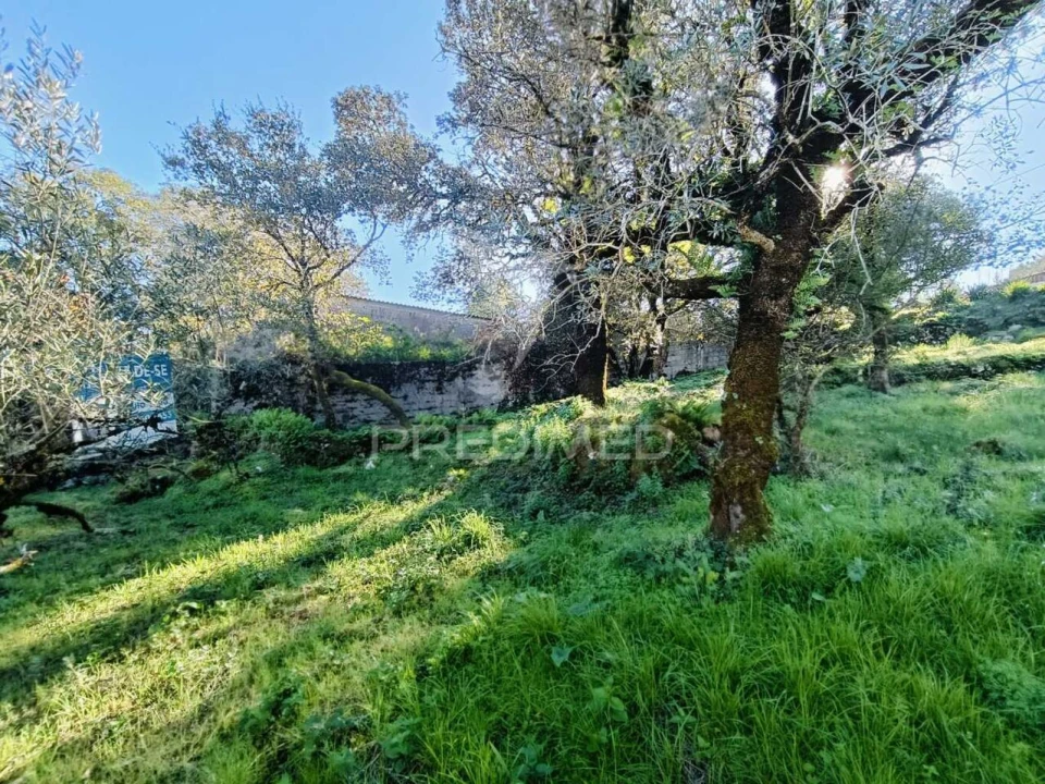 Moradia T2 para Venda em São Mamede Foto 12